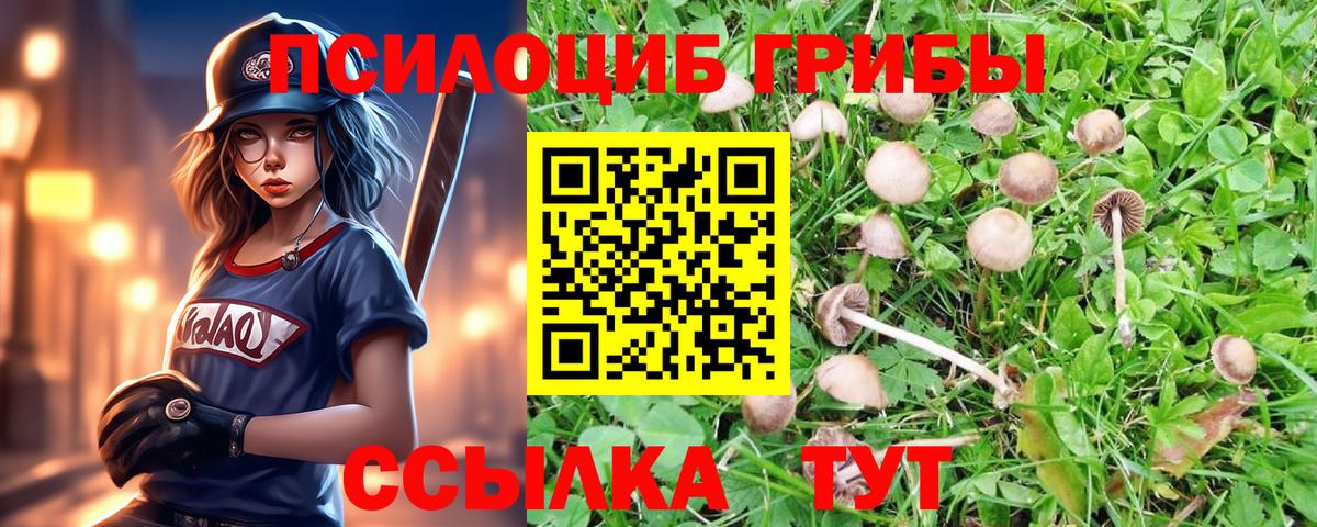 Галлюциногенные грибы Cubensis Советск