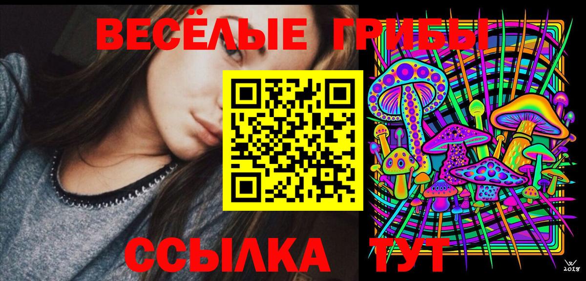 Советск  Псилоцибиновые грибы Psilocybine cubensis  Вход с VPN 